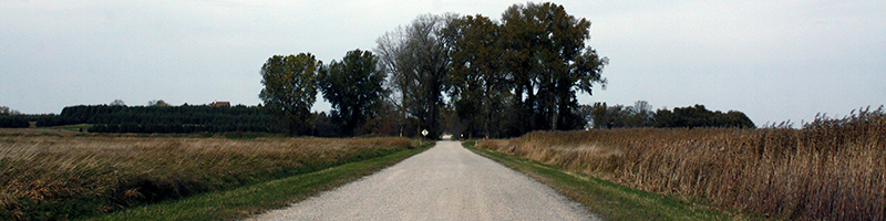 Rustic Road - Mountain Road scenery